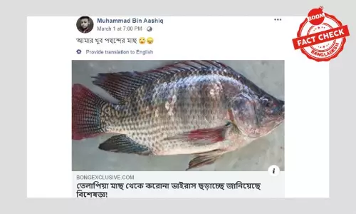 তেলাপিয়া মাছ থেকে কি করোনাভাইরাস ছড়াচ্ছে?