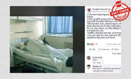 পুরনো ছবির সাথে রোগী ও কবুতরের ভুয়া গল্প ভাইরাল