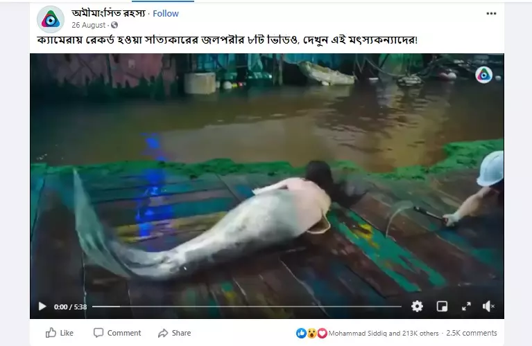 পোস্টটির আর্কাইভ ভার্সন দেখুন এখানে।