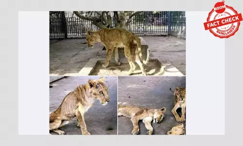 সুদানের চিড়িয়াখানার ছবিকে বাংলাদেশের বলে প্রচার সুদানের চিড়িয়াখানার ছবিকে বাংলাদেশের বলে প্রচার