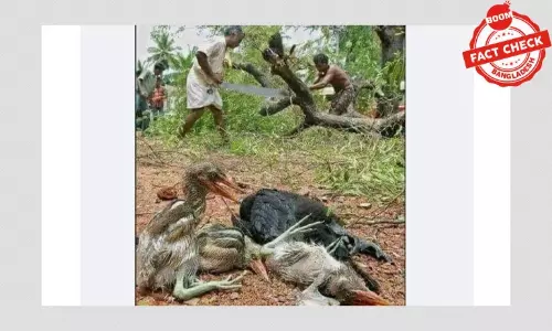 ছবিটি সোহরাওয়ার্দী উদ্যানের গাছ কাটার নয়