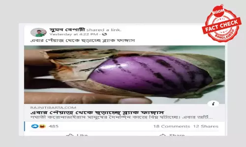 পেঁয়াজ থেকে ব্ল্যাক ফাঙ্গাস ছড়িয়ে পড়ার ভুয়া খবর ফেসবুকে পেঁয়াজ থেকে ব্ল্যাক ফাঙ্গাস ছড়িয়ে পড়ার ভুয়া খবর ফেসবুকে