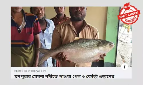 মেঘনা নদীতে ৩ কেজি ওজনের ইলিশ পাওয়ার পুরানো খবর ভাইরাল মেঘনা নদীতে ৩ কেজি ওজনের ইলিশ পাওয়ার পুরানো খবর ভাইরাল