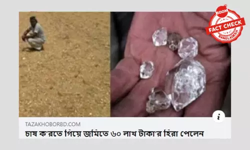 জমি চাষ করতে গিয়ে হীরা পাওয়ার পুরোনো খবর ভাইরাল জমি চাষ করতে গিয়ে হীরা পাওয়ার পুরোনো খবর ভাইরাল