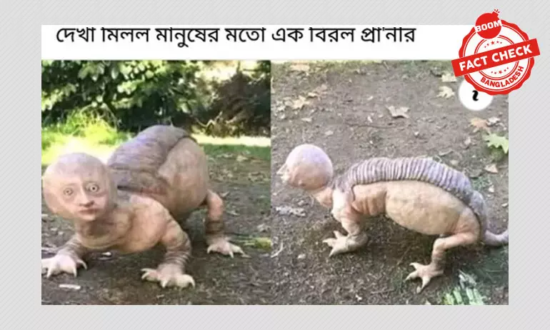 সিলিকন ভাস্কর্যকে ভুয়া দাবিতে ফেসবুকে প্রচার