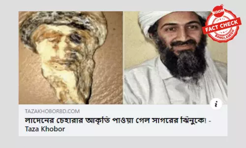 লাদেনের চেহারা সদৃশ ঝিনুক পাওয়ার খবরটি ২০১৯ সালের