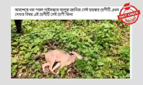 এটি কোনো ভয়ঙ্কর প্রাণী ধরা পড়ার ভিডিও নয় এটি কোনো ভয়ঙ্কর প্রাণী ধরা পড়ার ভিডিও নয়