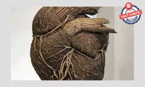 এটি কাঠের শিল্পকর্ম, শ্রীকৃষ্ণের হৃৎপিণ্ড নয়