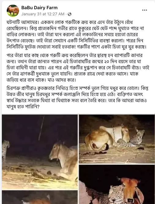 পোস্টটি দেখুন এখানে