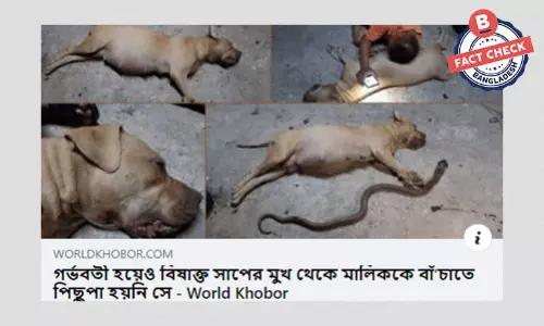 মালিককে বাঁচাতে গিয়ে সাপের কামড়ে কুকুরের মারা যাওয়ার ঘটনাটি পুরোনো মালিককে বাঁচাতে গিয়ে সাপের কামড়ে কুকুরের মারা যাওয়ার ঘটনাটি পুরোনো