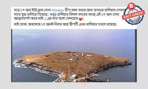 জেমিনি দ্বীপ রক্ষায় ইউক্রেনের কোনো সেনা নিহত হয়নি জেমিনি দ্বীপ রক্ষায় ইউক্রেনের কোনো সেনা নিহত হয়নি