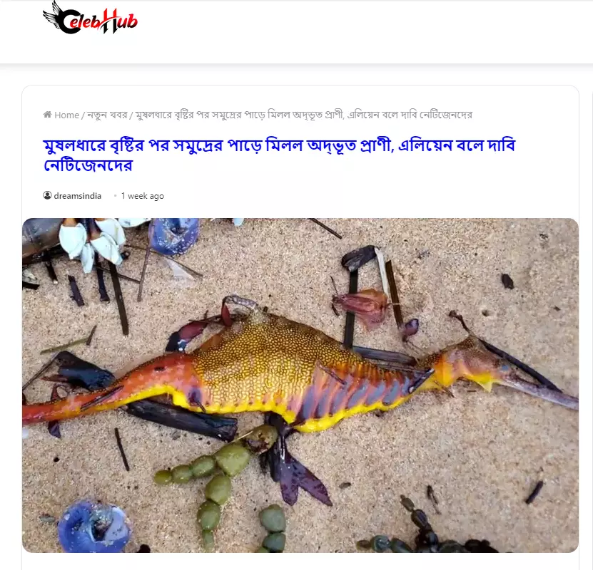 খবরটির আর্কাইভ দেখুন