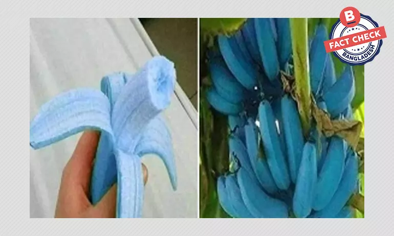 Blue Banana Blue Banana