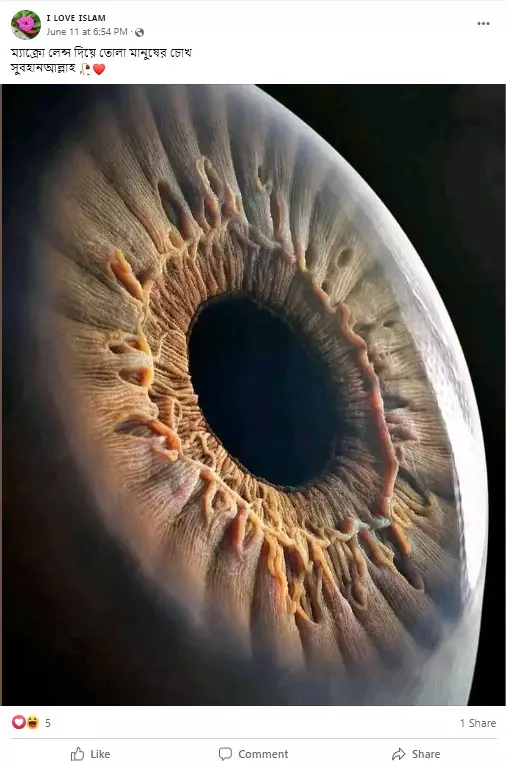 Xotinim qoshnisi bilan yirtqich jinsiy aloqada boladi.