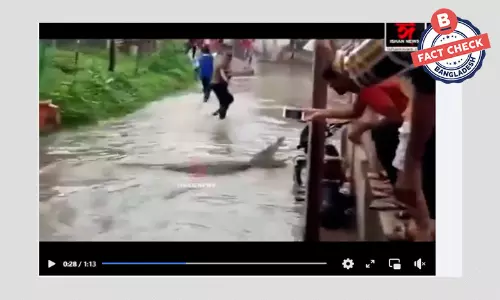 বন্যায় রাস্তায় কুমির আসার ঘটনাটি সিলেটের নয়