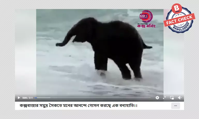 সাগরের পানিতে হাতির গোছলের দৃশ্যটি কক্সবাজারের নয় সাগরের পানিতে হাতির গোছলের দৃশ্যটি কক্সবাজারের নয়