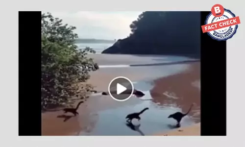 ভিডিওর প্রাণীগুলোর নাম কোয়াটিস, ডায়নোসর নয় ভিডিওর প্রাণীগুলোর নাম কোয়াটিস, ডায়নোসর নয়