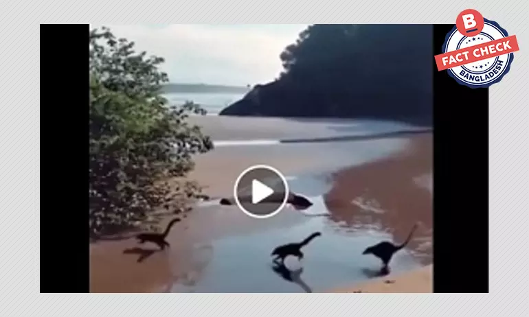 ভিডিওর প্রাণীগুলোর নাম কোয়াটিস, ডায়নোসর নয় ভিডিওর প্রাণীগুলোর নাম কোয়াটিস, ডায়নোসর নয়