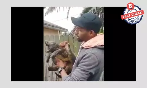 না, এটি কোনো লাশখেকো প্রাণী নয় না, এটি কোনো লাশখেকো প্রাণী নয়