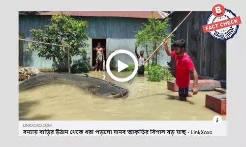 ভুয়া শিরোনামে দানবাকৃতির মাছ ধরা পড়ার ছবি ও সংবাদ প্রচার ভুয়া শিরোনামে দানবাকৃতির মাছ ধরা পড়ার ছবি ও সংবাদ প্রচার
