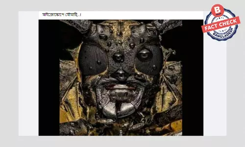 না, এটি মাইক্রোস্কোপে ধারণ করা মৌমাছির ছবি নয় না, এটি মাইক্রোস্কোপে ধারণ করা মৌমাছির ছবি নয়