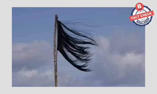 ছবিটি ইরানের বিক্ষোভের নয় ছবিটি ইরানের বিক্ষোভের নয়