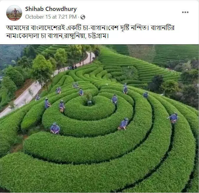 পোস্টটি দেখুন এখানে