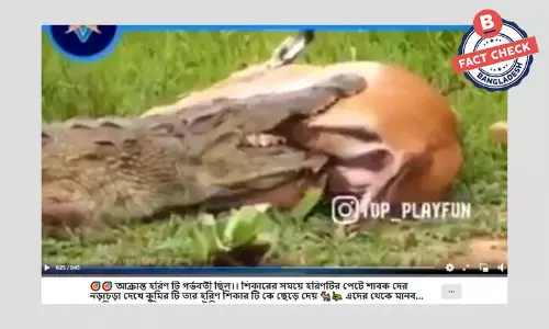 ইম্পালা কুমিরের লড়াইয়ের ভিডিওর সাথে মনগড়া গল্প প্রচার ইম্পালা কুমিরের লড়াইয়ের ভিডিওর সাথে মনগড়া গল্প প্রচার