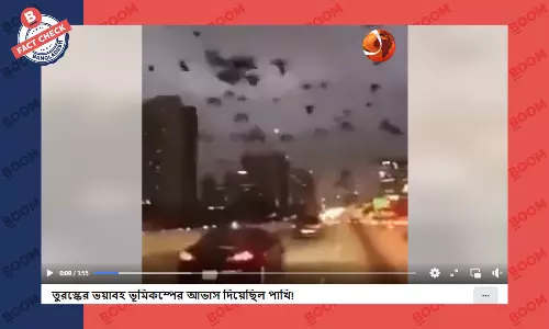 পাখির ঝাঁকের এই ভিডিওটি তুরস্কের নয় বরং যুক্তরাষ্ট্রের পাখির ঝাঁকের এই ভিডিওটি তুরস্কের নয় বরং যুক্তরাষ্ট্রের