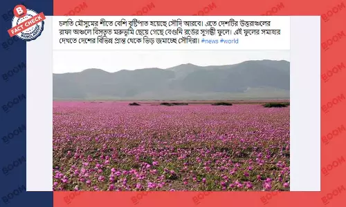 মরুভূমি জুড়ে বেগুনি রংয়ের ফুলের এই ছবিটি সৌদি আরবের নয় মরুভূমি জুড়ে বেগুনি রংয়ের ফুলের এই ছবিটি সৌদি আরবের নয়