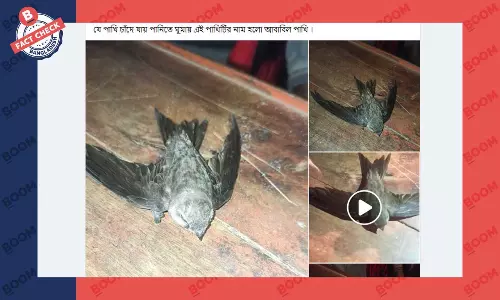 আবাবিল পাখির চাঁদে যাওয়ার গল্পটি বাস্তব নয় বরং কাল্পনিক
