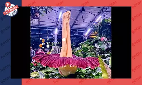 ছবির ফুলটি বিশ্বের বৃহত্তম ফুল নয়