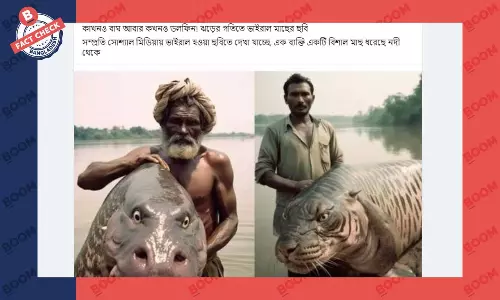 মাছের এই ছবিগুলো এআই প্রযুক্তির সাহায্যে তৈরি মাছের এই ছবিগুলো এআই প্রযুক্তির সাহায্যে তৈরি