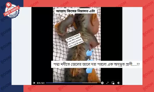 ভিডিওটি পদ্মানদীর জেলেদের জালে ধরা পরা অদ্ভুত প্রাণীর নয় ভিডিওটি পদ্মানদীর জেলেদের জালে ধরা পরা অদ্ভুত প্রাণীর নয়