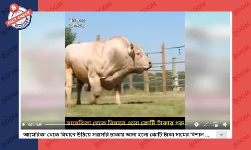 যুক্তরাষ্ট্র থেকে বিমানযোগে ৩০টি গরু আনার ঘটনাটি দুই বছর আগের যুক্তরাষ্ট্র থেকে বিমানযোগে ৩০টি গরু আনার ঘটনাটি দুই বছর আগের