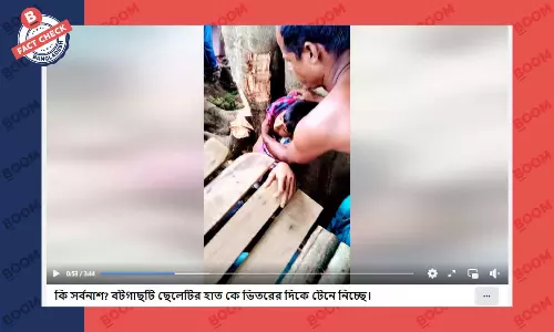 বটগাছ শিশুর হাত টেনে নেওয়ার দাবিটি ভিত্তিহীন