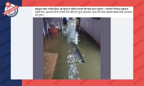 ছবিটি চট্টগ্রামে জলাবদ্ধ রাস্তায় কুমিরের নয় ছবিটি চট্টগ্রামে জলাবদ্ধ রাস্তায় কুমিরের নয়
