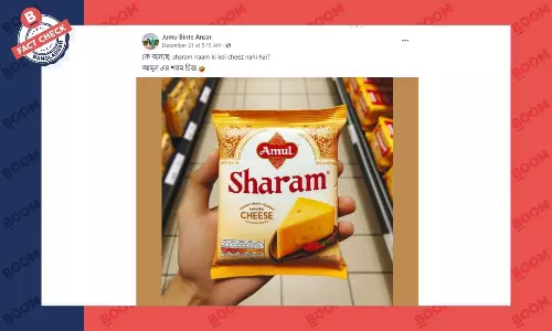 ছবিটি এআই জেনারেটেড, আমুলের চীজ বা পনিরের নয়