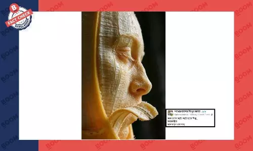 কলা দিয়ে আর্টওয়ার্কের এই ছবিটি এআই জেনারেটেড