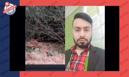 মানুষের ওপর বাঘের আক্রমণের এই ভিডিওটি সুন্দরবনের নয় মানুষের ওপর বাঘের আক্রমণের এই ভিডিওটি সুন্দরবনের নয়