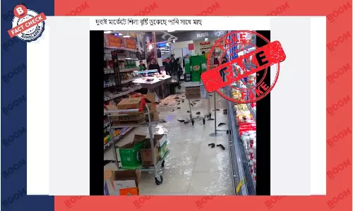 সুপারশপের ফ্লোরে জ্যান্ত মাছ ভাসার ভিডিওটি দুবাইয়ের নয় সুপারশপের ফ্লোরে জ্যান্ত মাছ ভাসার ভিডিওটি দুবাইয়ের নয়