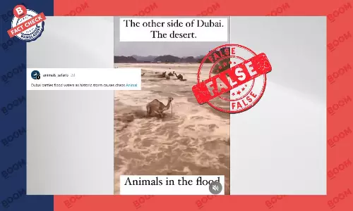 পানির স্রোতে উট ভেসে যাওয়ার ভিডিওটি দুবাইয়ের সাম্প্রতিক বন্যার নয়