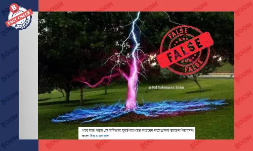 গাছের উপরে বজ্রপাতের এই ছবিটি বাস্তব নয়