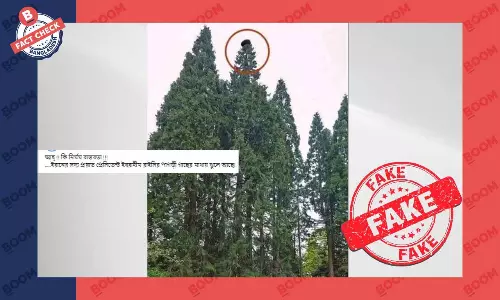 গাছের চূড়ায় ইব্রাহিম রাইসির পাগড়ি পড়ে থাকার ছবিটি এডিটেড গাছের চূড়ায় ইব্রাহিম রাইসির পাগড়ি পড়ে থাকার ছবিটি এডিটেড