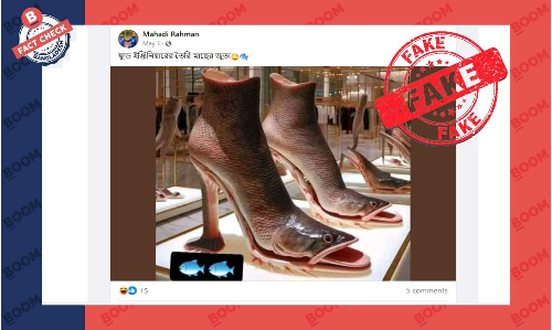 মাছের ডিজাইনের জুতার ছবিটি এআই জেনারেটেড