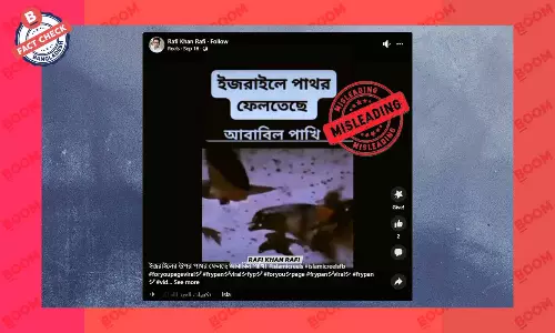 সিনেমার দৃশ্যের আবাবিল পাখির ভিডিও বাস্তব দাবিতে প্রচার সিনেমার দৃশ্যের আবাবিল পাখির ভিডিও বাস্তব দাবিতে প্রচার