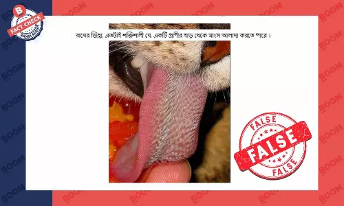 ছবিটি বাঘের জিহ্বার নয় ছবিটি বাঘের জিহ্বার নয়