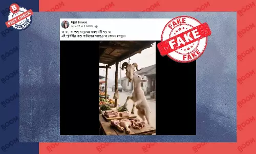 ছাগলছানার আবেগঘন এই ভিডিওটি এআই জেনারেটেড ছাগলছানার আবেগঘন এই ভিডিওটি এআই জেনারেটেড