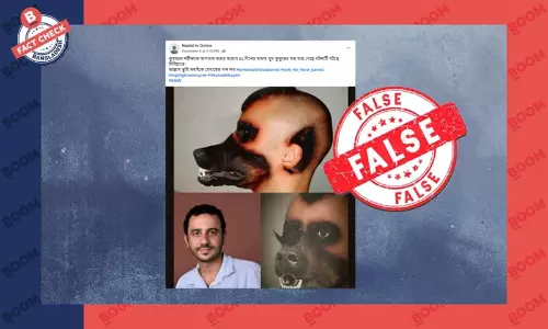 ছবিগুলো কোনো ব্যক্তির মুখ কুকুরের মতো হওয়ার নয় বরং আর্টওয়ার্কের