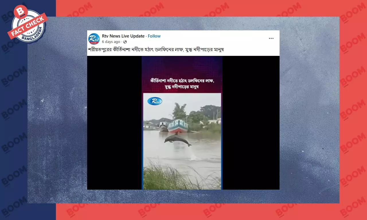 এআই ব্যবহার করে সম্পাদিত নদীতে ডলফিন দেখতে পাওয়ার ভিডিও গণমাধ্যমে